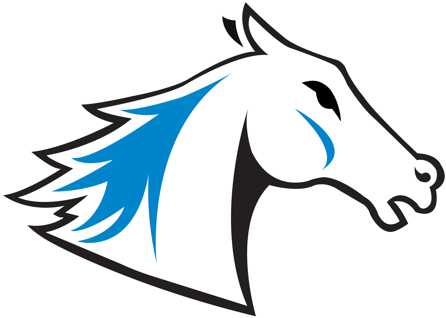 Colby-Sawyer logo