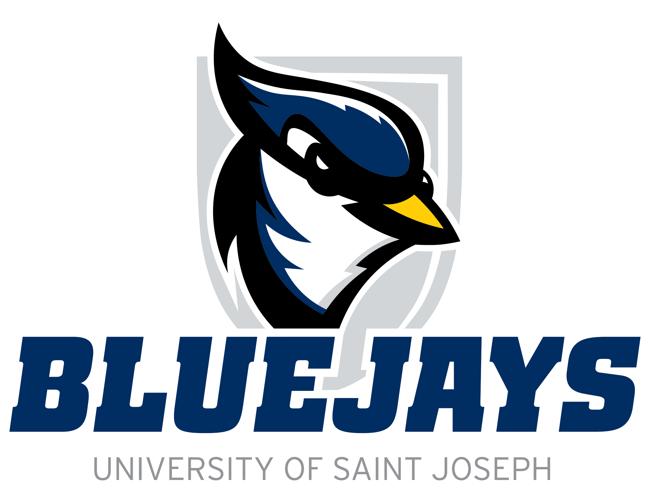 #8 University of Saint Joseph (CT) logo