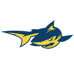 #4 Simmons logo