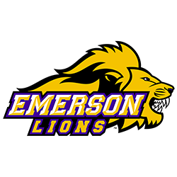 #6 Emerson logo