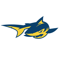 #3N Simmons logo