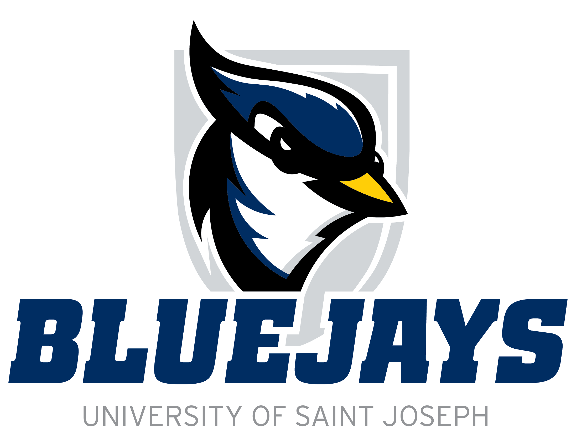 Saint Joseph CT (men) logo